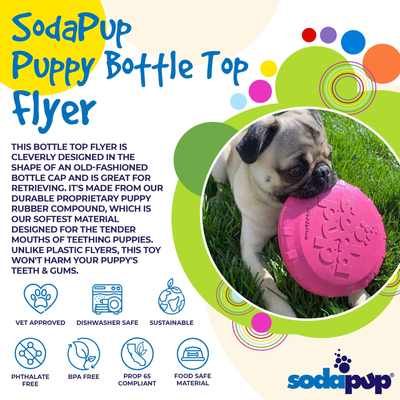 SP Puppy Bottle Top Flyer Rubber Retrieving Frisbee