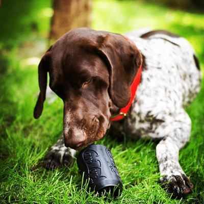 SodaPup Magnum Can Toy Rubber Chew Toy