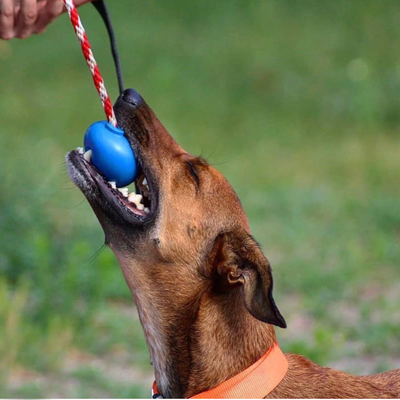 USA-K9 Cherry Bomb Durable Rubber Dog Chew Toy & Treat Dispenser