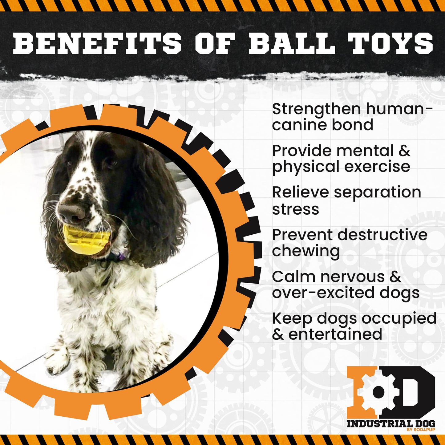 ID Ball Ultra-Durable Rubber Dog Chew & Retrieving Ball