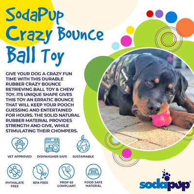 Crazy Bounce Ultra-Durable Rubber Dog Chew & Retrieving Toy (Pink)