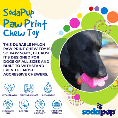 SodaPup Paw Print Nylon Dog Chew Toy for Aggressive Chewers