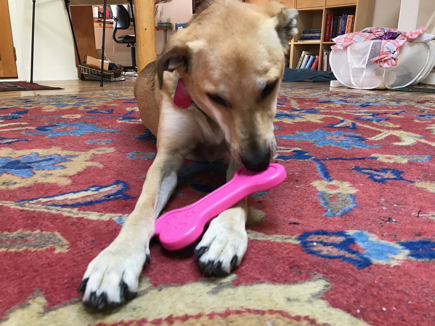 SodaPup MKB Bone Ultra-Durable Nylon Dog Chew Toy