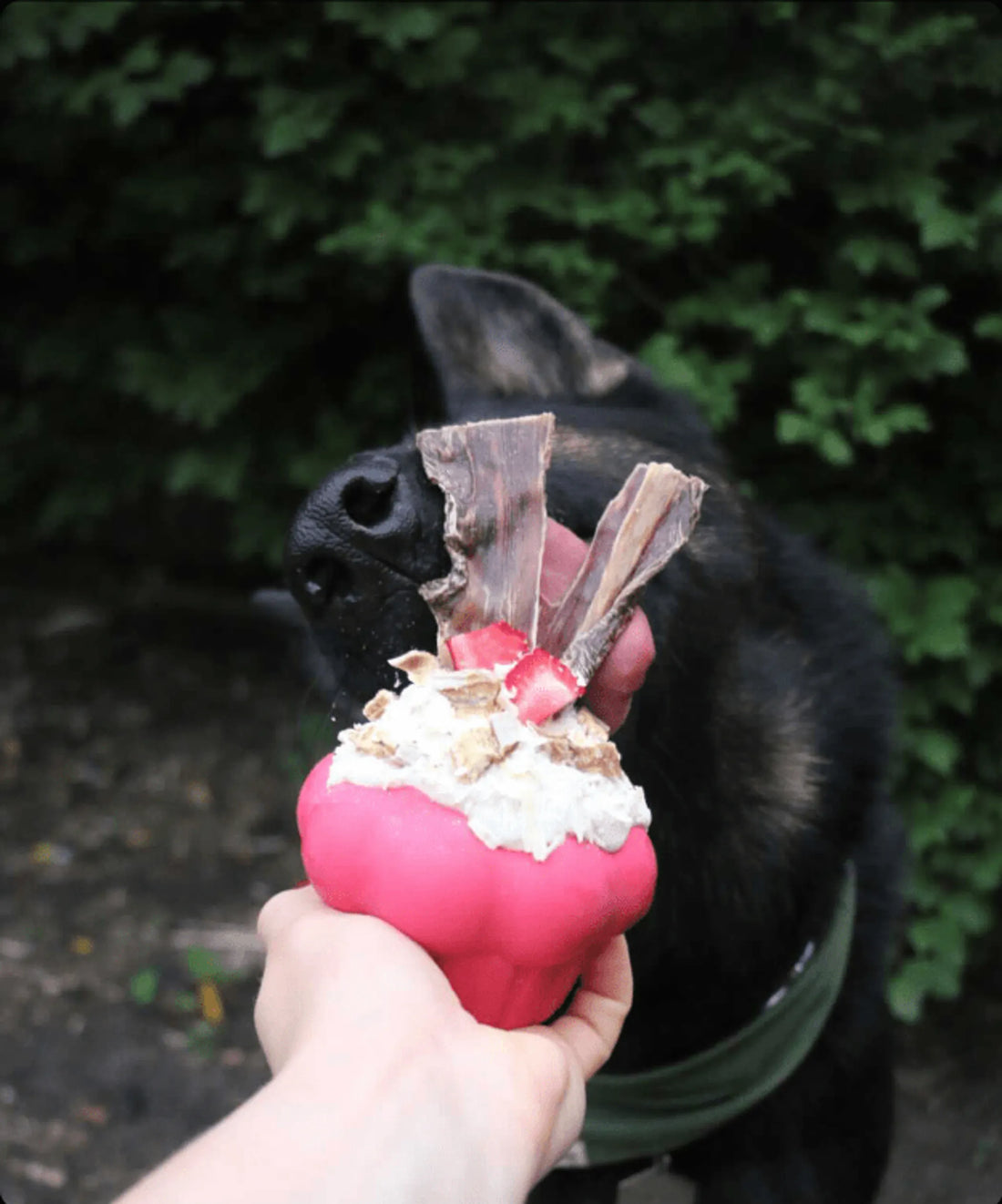 Cupcake eDispenser - Durable Rubber Chew Toy & Treat Dispenser
