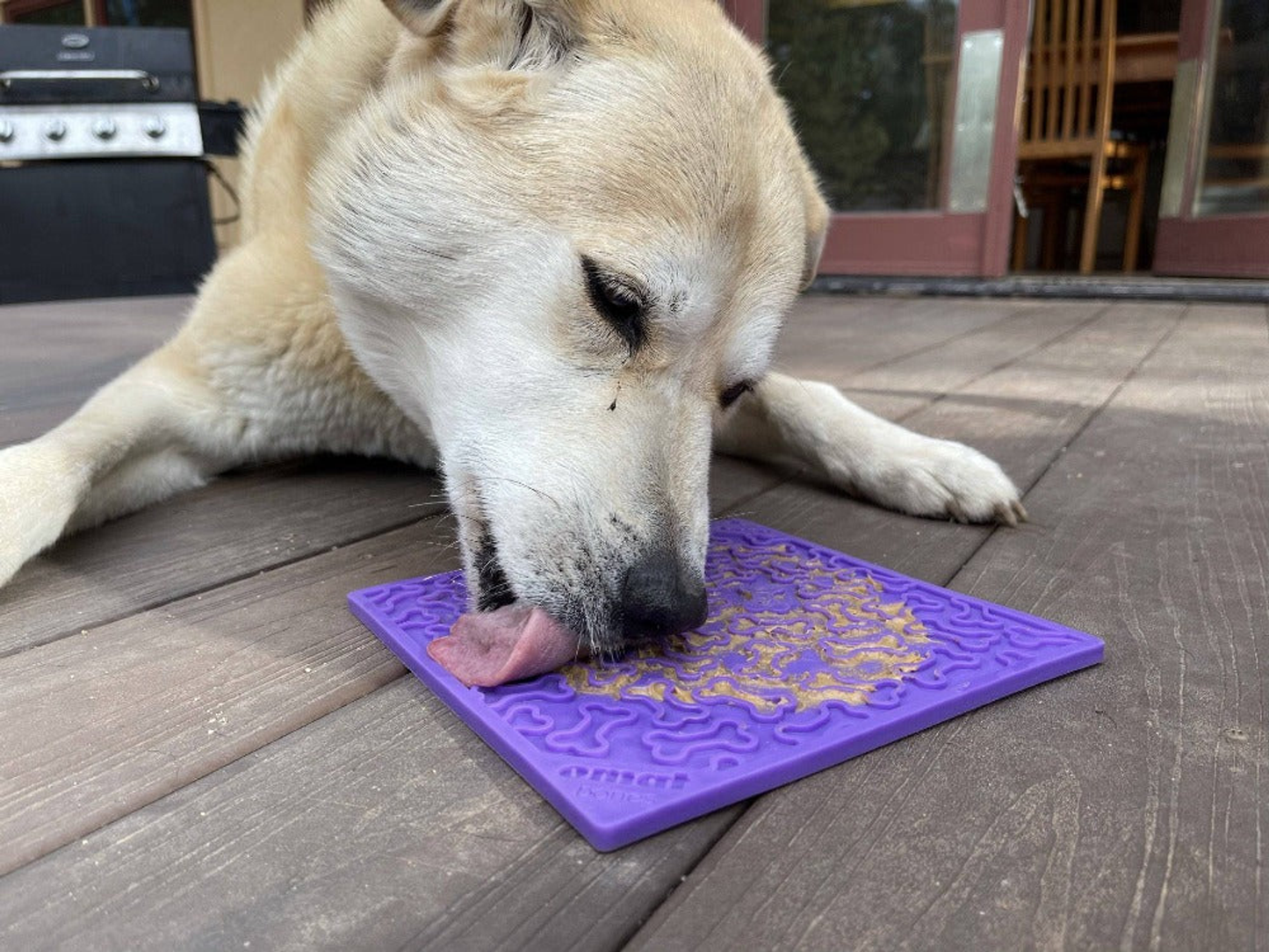 SodaPup Bones eMat Enrichment Lick Mat