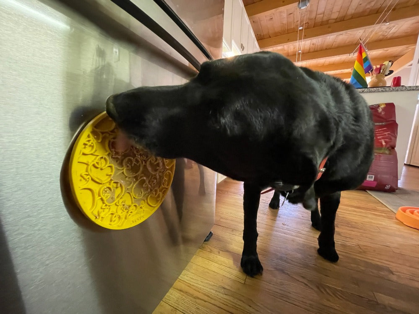 SodaPup Rubber Duckies eMat Enrichment Lick Mat