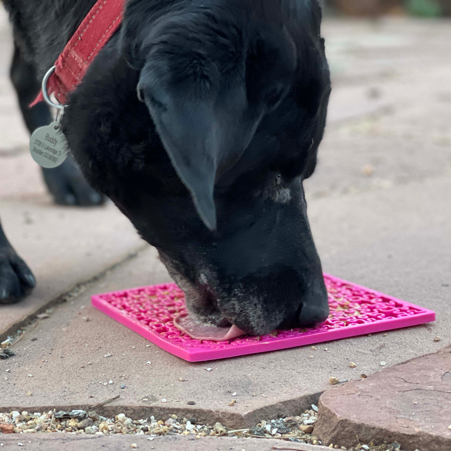 SodaPup Jigsaw Puzzle eMat Enrichment Lick Mat