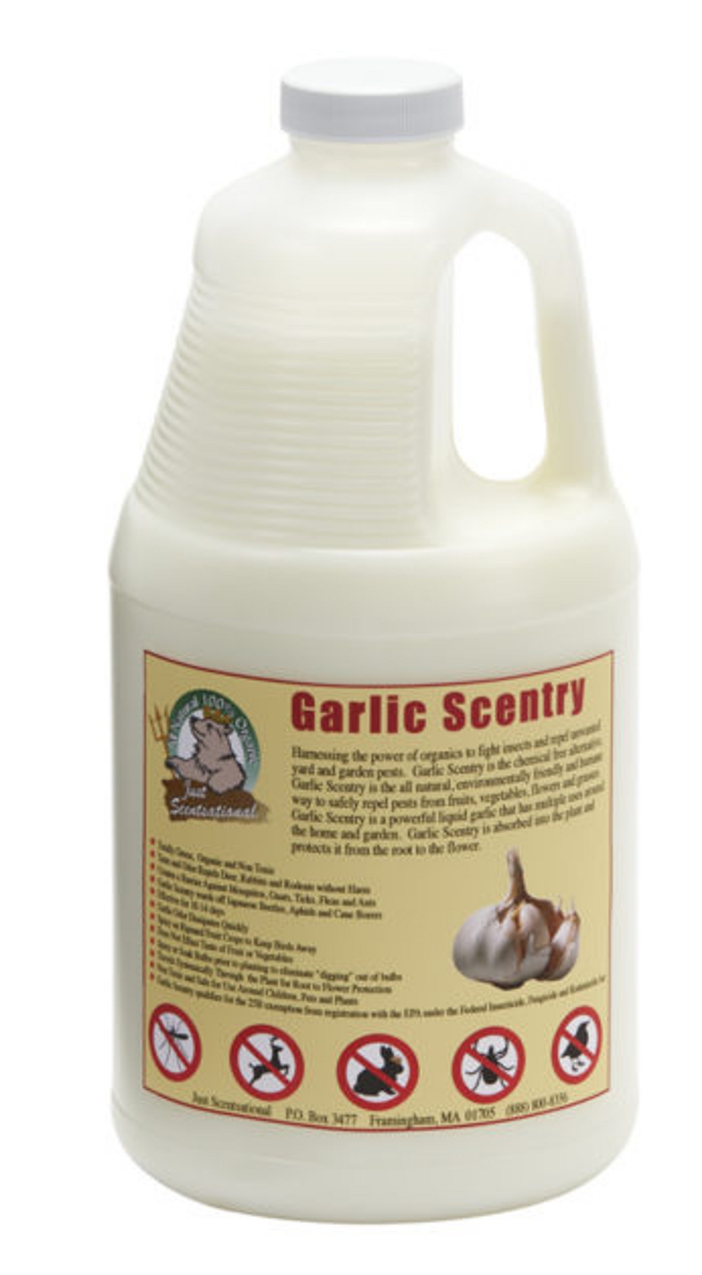 Just Scentsational Garlic Scentry, Half Gallon