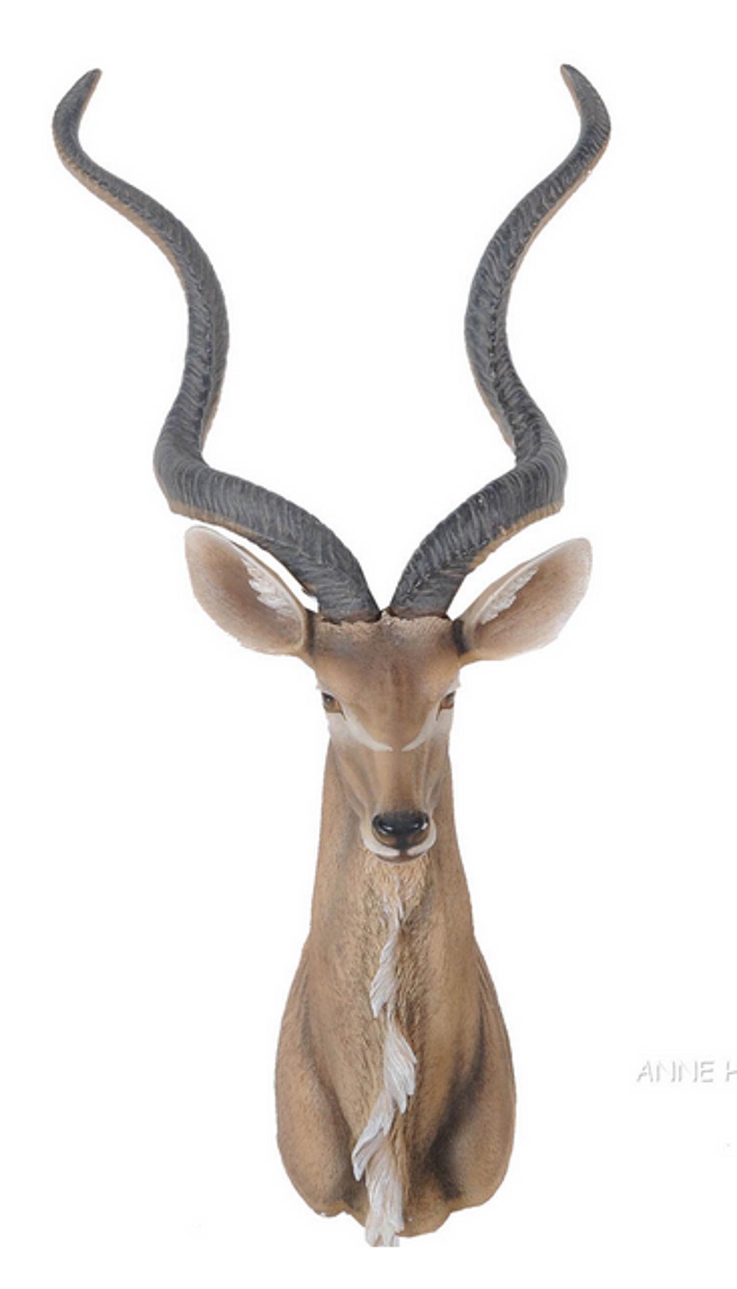Anne Home Antelope Head Wall Decor