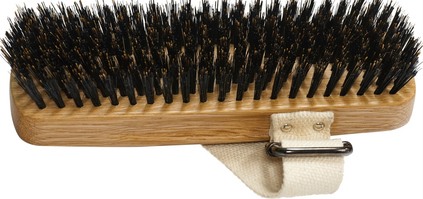 Bass Shine & Condition Equine Oval Brush