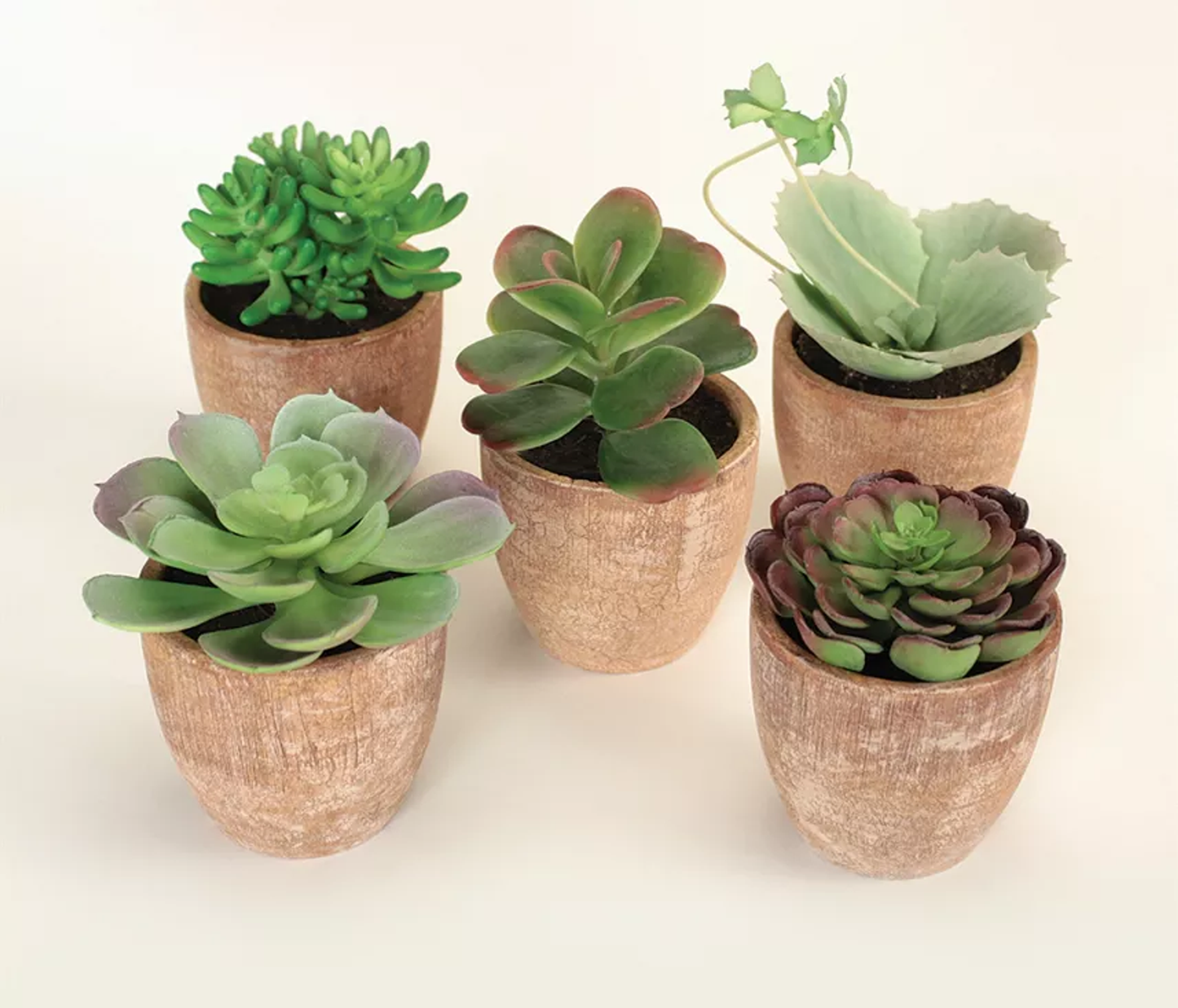 Potted Faux Succulents, Set of 5 (4-7.5 in)