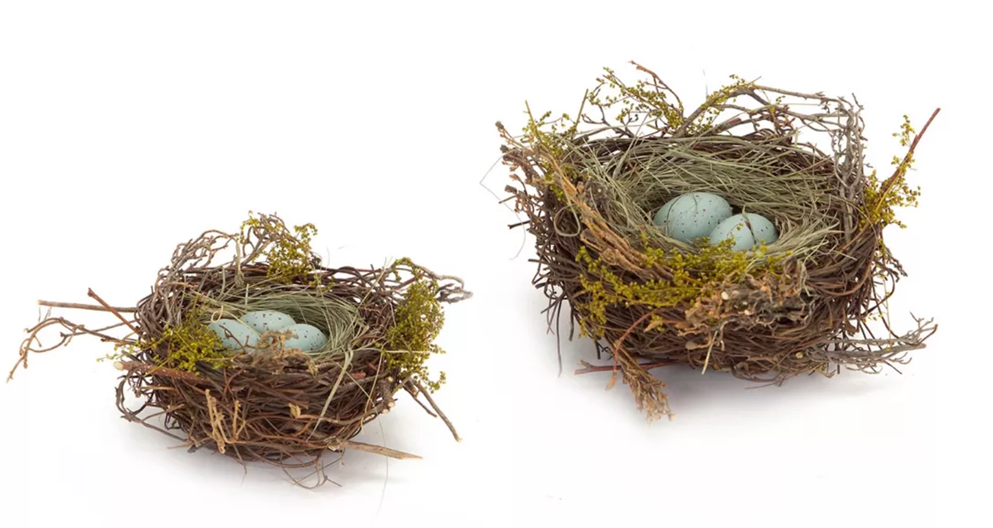 Robin's Nest with Eggs Decor, Set of 12