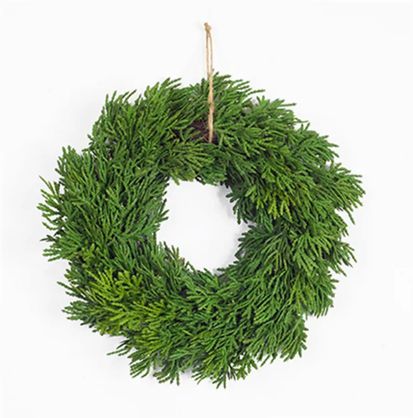 Faux Pine Wreath, Set of 6, 11.5"D