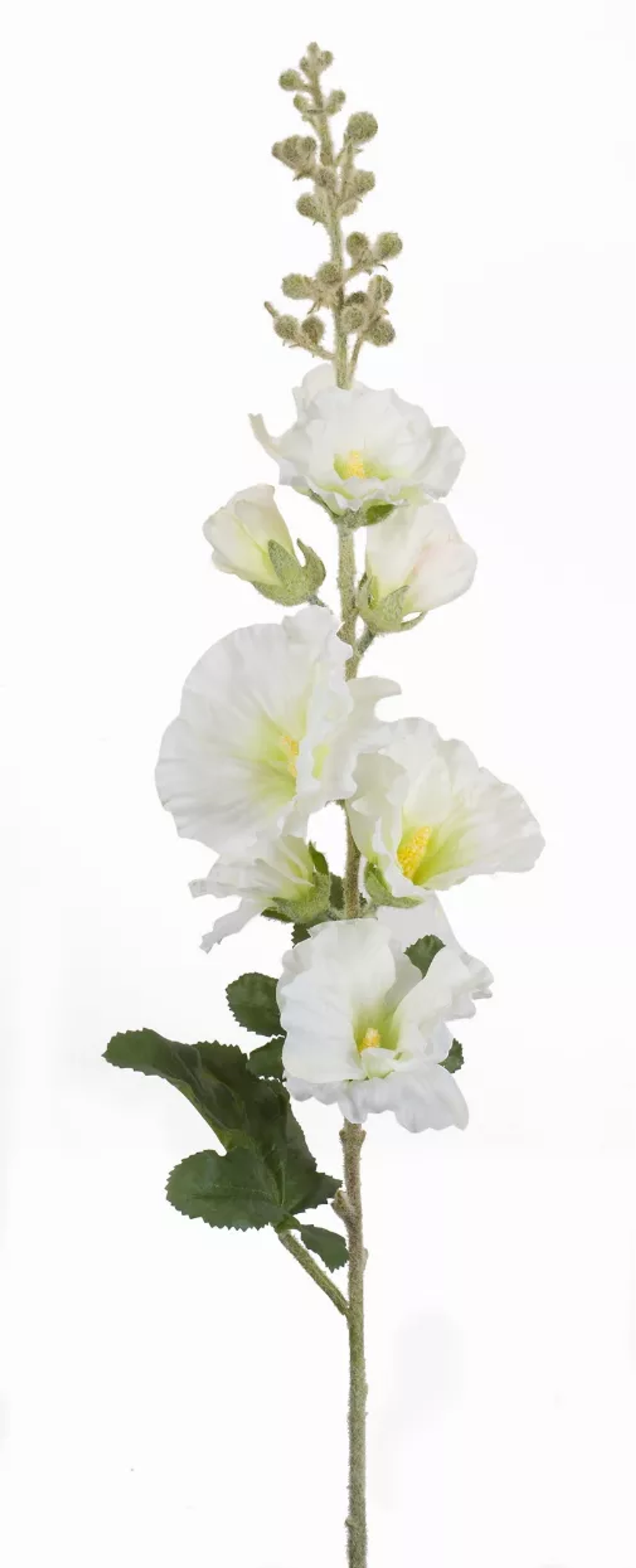Melrose Hollyhock Stems, Set of 6