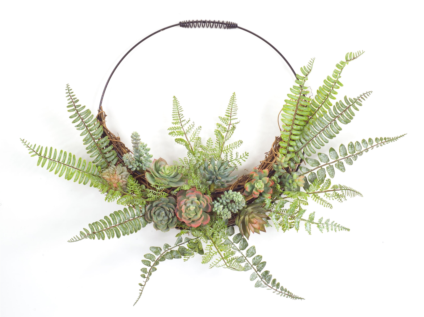 Fern & Succulent Round Wall Decor, 24.5in