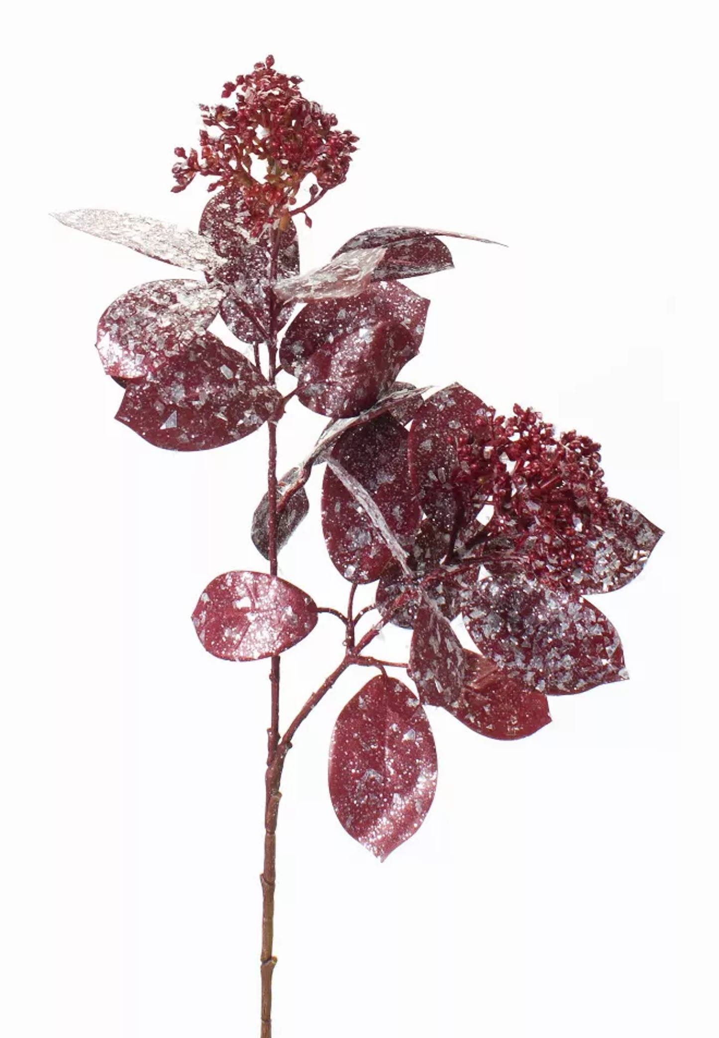 Snowy Sedum Stems, Set of 12 (27in)