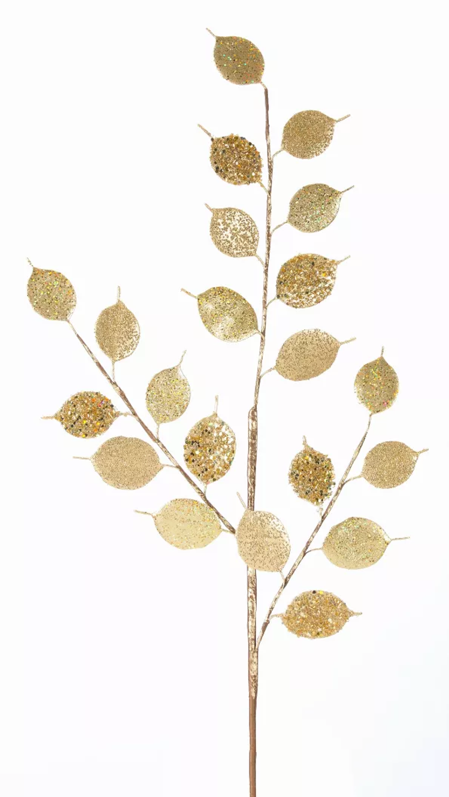 Silver Dollar Spray Stems, Set of 12 (34.25in)