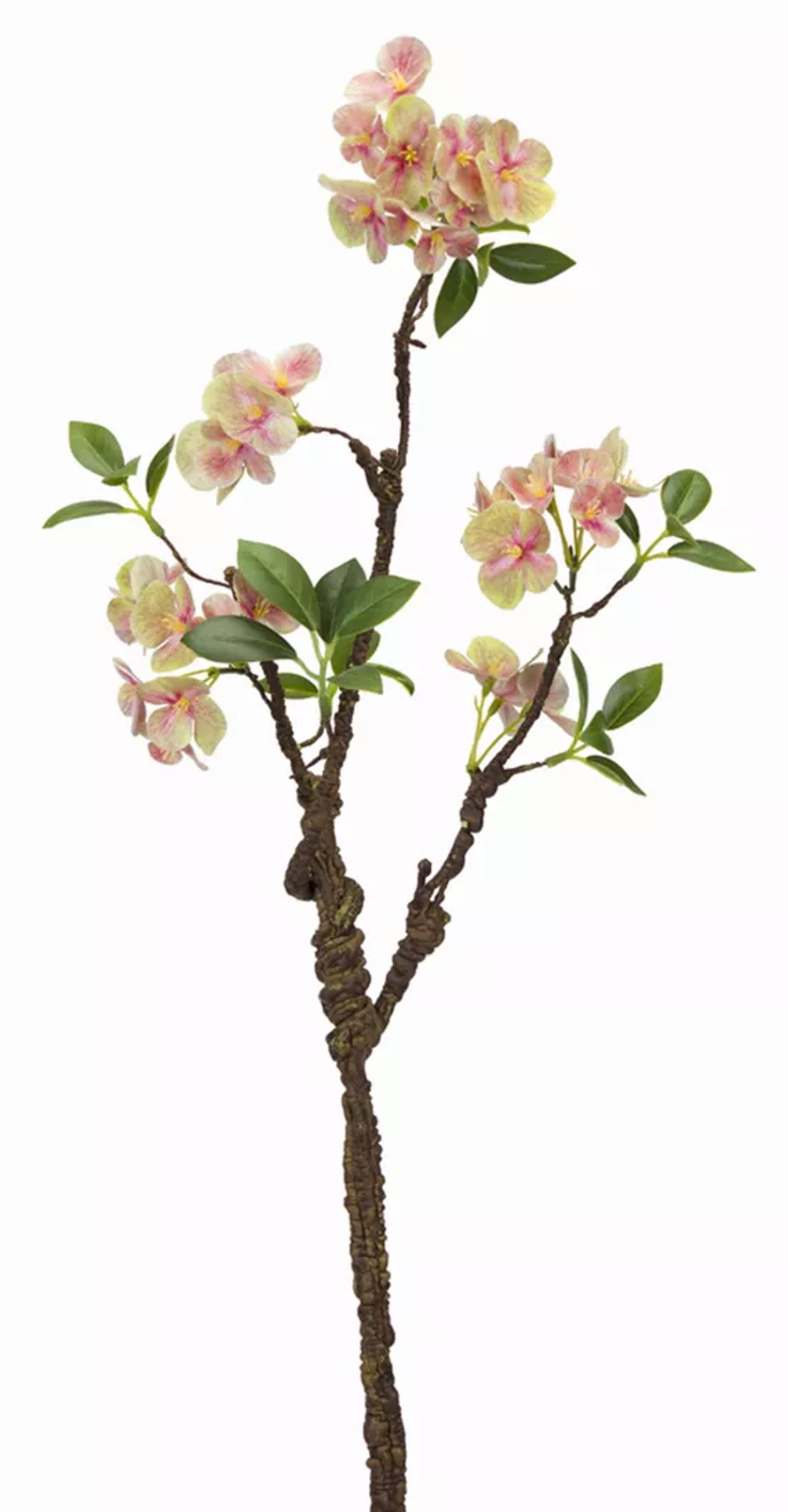Blooming Branch Stems, Set of 12 (30in)