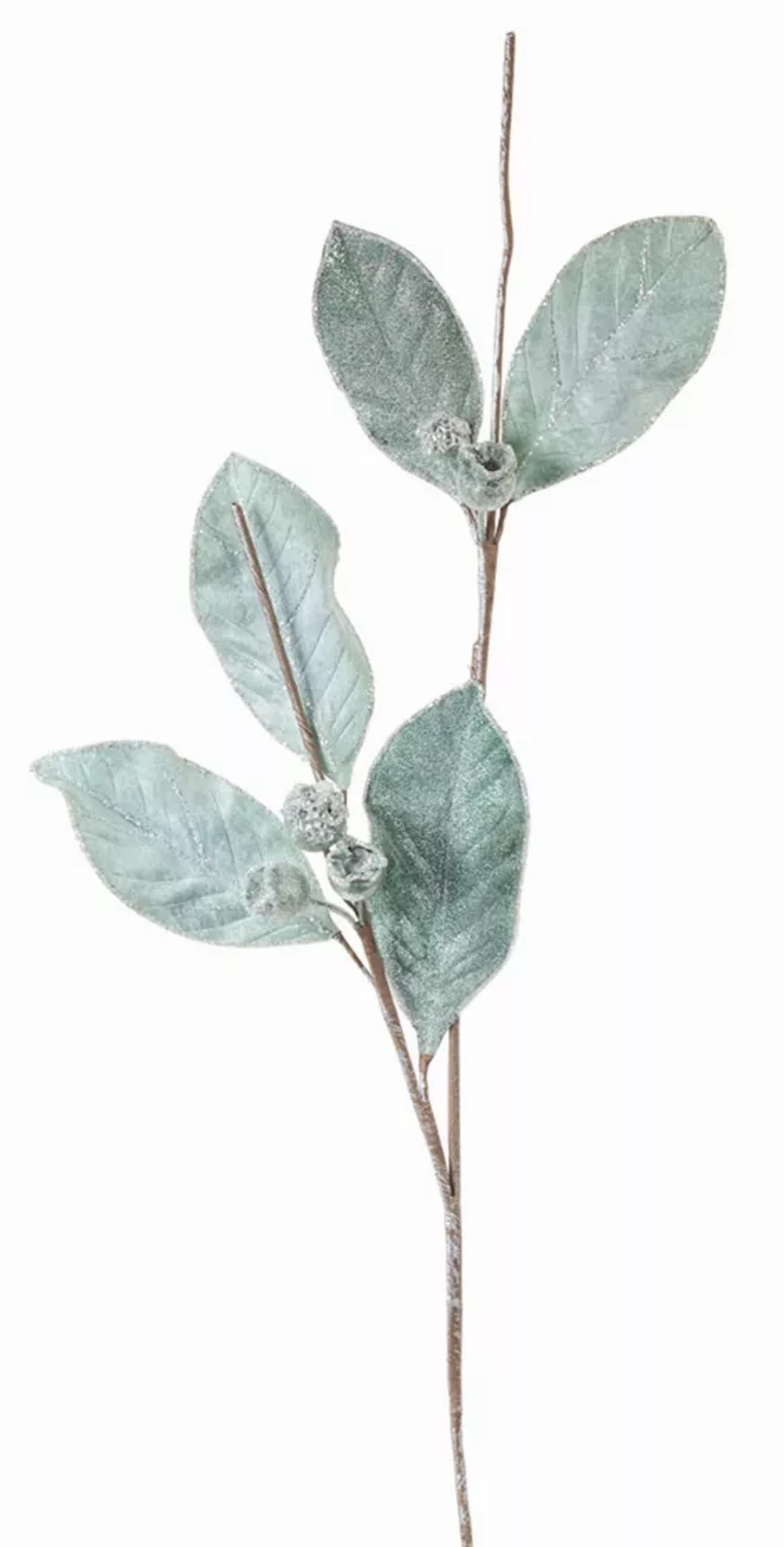 Magnolia Leaf Sprays, Set of 6 (34.5in)