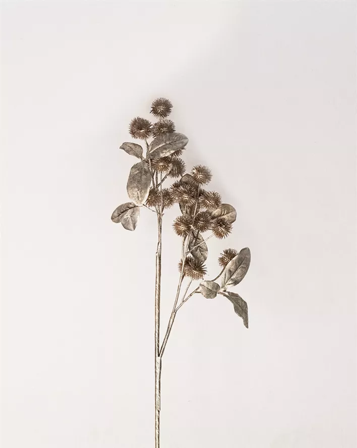 Pod Spray Stems, Set of 12