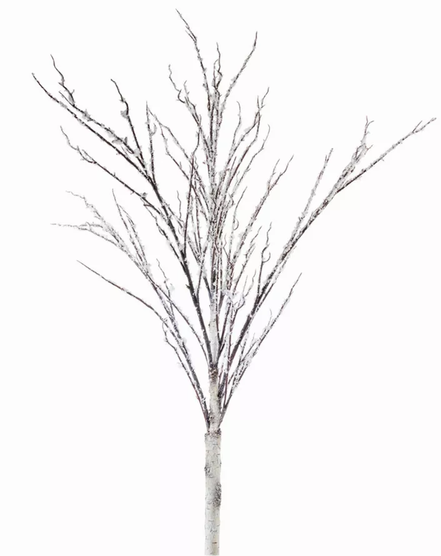 Icy Birch Branch Stems, Set of 4 (50in)