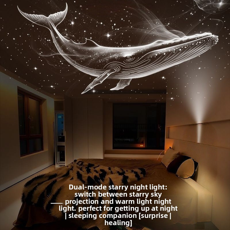 Projection Night Light