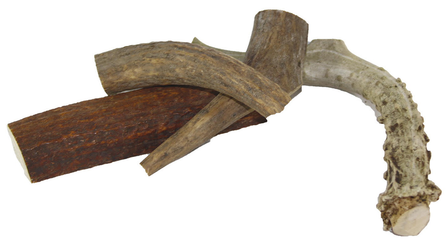 Planet Wise Deer Antler Dog Chew - 6 oz