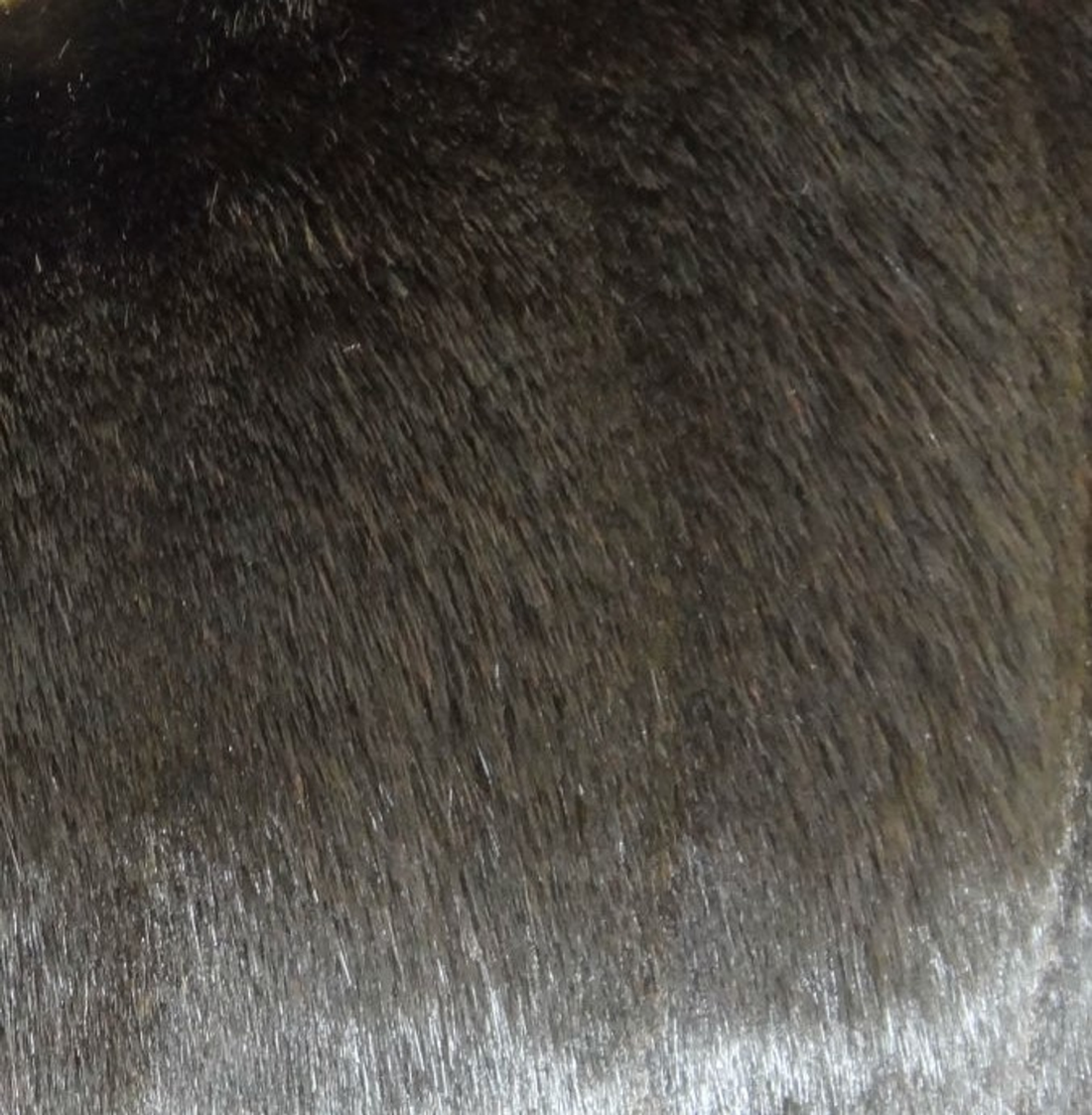 Plutus Silky Dark Brown Mink Faux Fur Throw Pillow