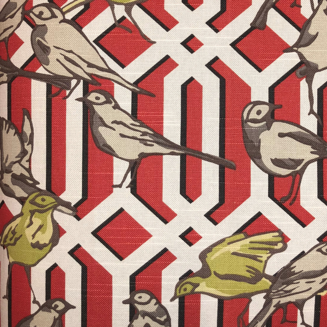 Plutus Bird Forest Multicolor Luxury Throw Pillow