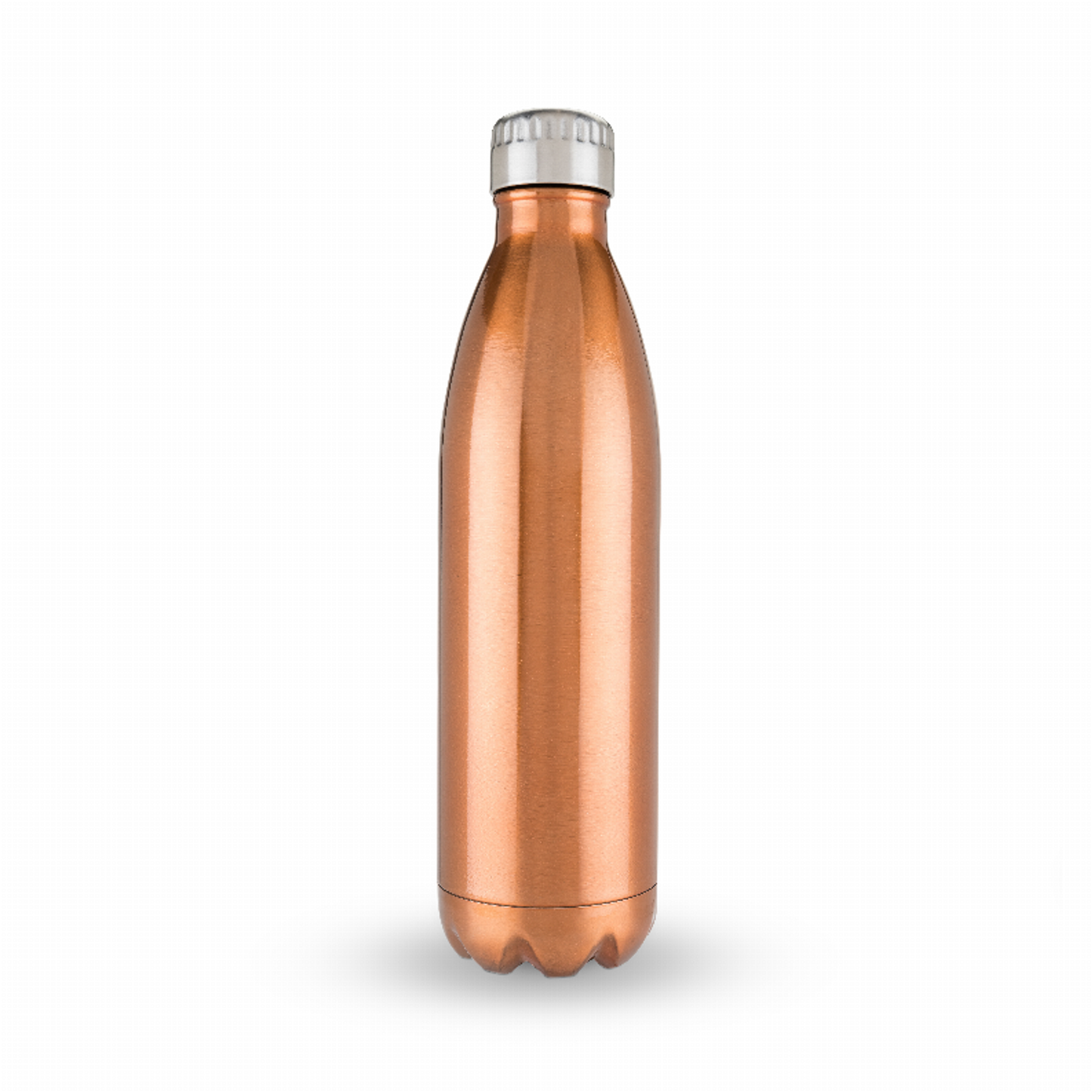 True2Go Double-Walled Water Bottle, 750 mL