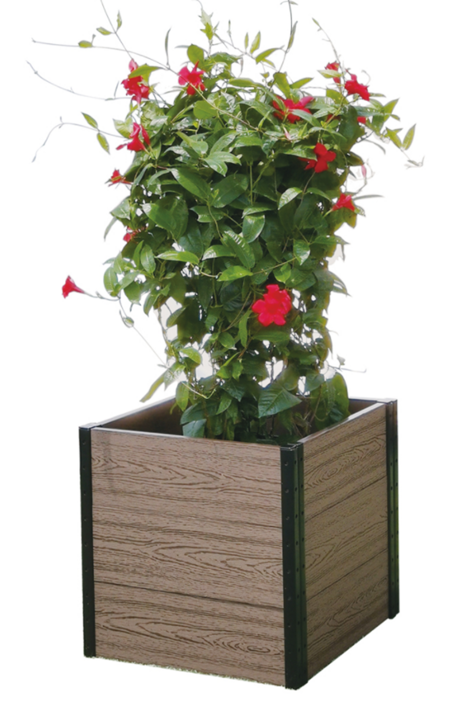Cornerstone Planter Bed (21 x 24 x 21 in)