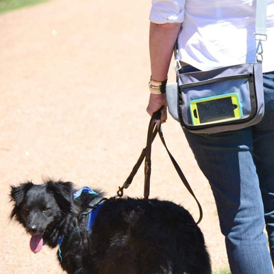 Yucky Puppy Crossbody Dog Walking Bag - Black & Gray