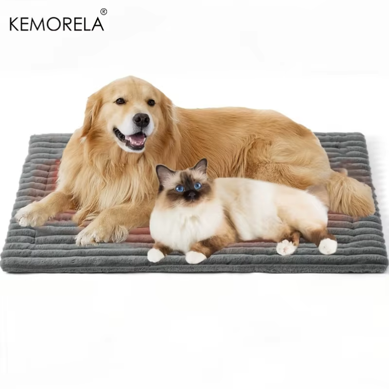 CozyPaws soft dog bed mat placed in car for travel