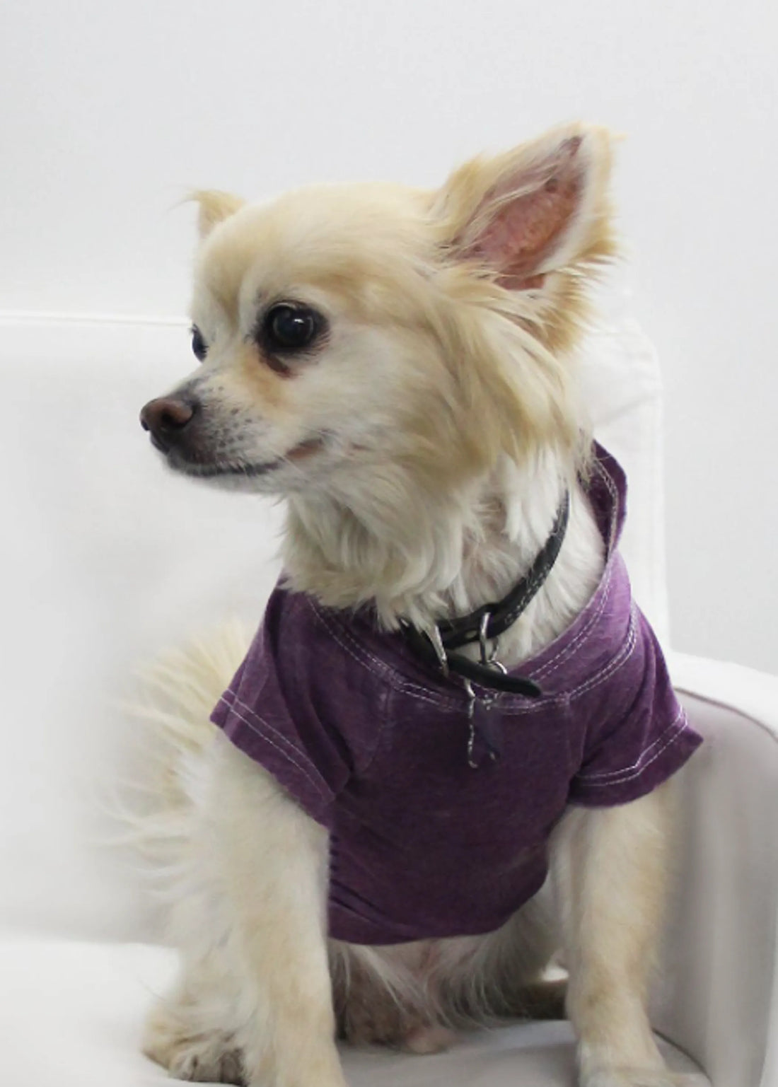 Burnout Wash Pet Hoodie