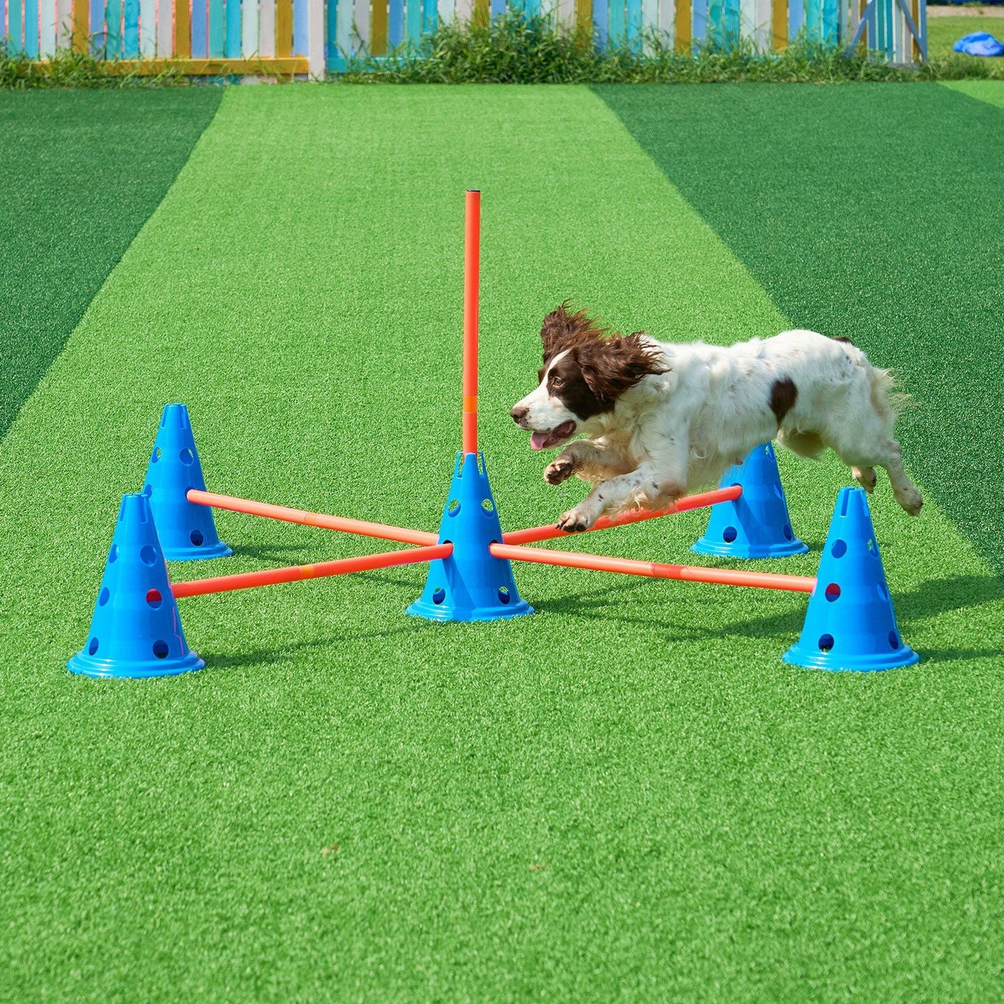 Dog Agility Cones & Rods Set detail view 8