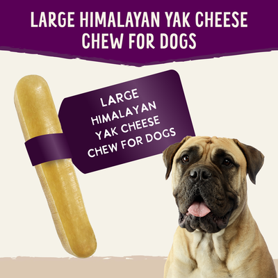Health Extension Yak Cheese Dog Chew - Small