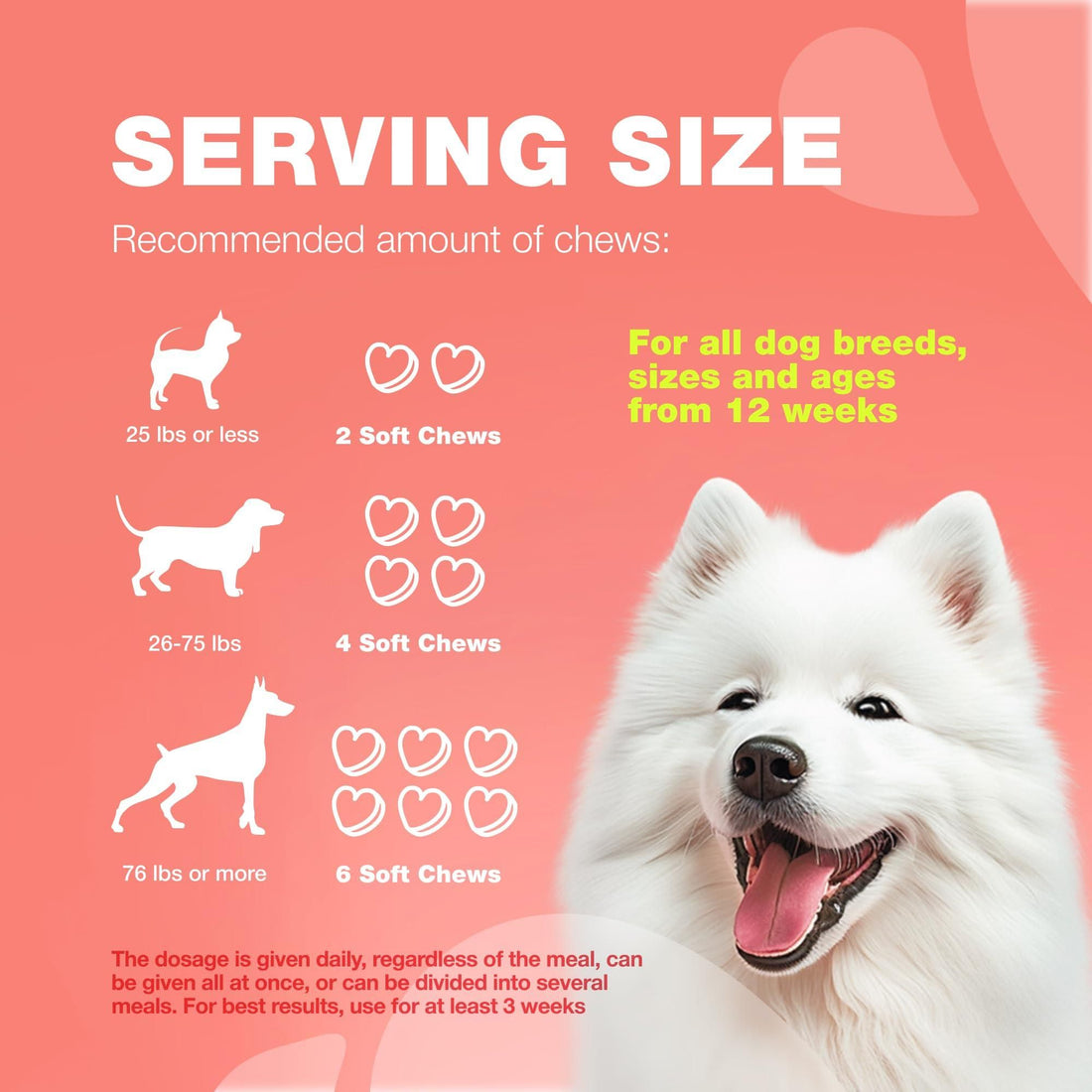 Natural Flea & Tick Dog Chews detail view 9