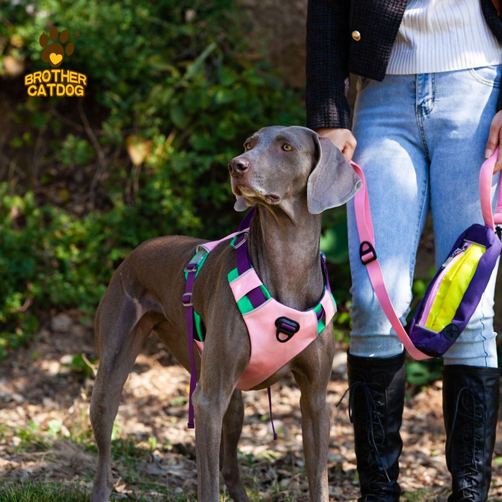 Dog sling carrier size chart and color options