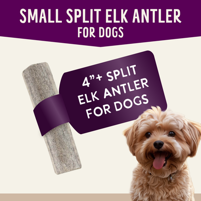 Elk Antler Dog Chew Variety Box