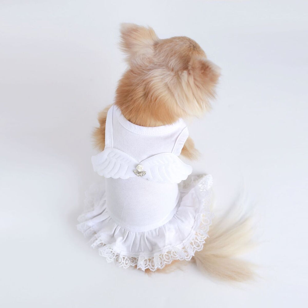 Lil Angel Dress