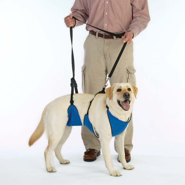 Guardian Gear Lift & Lead 4-in-1 Dog Harness: The Complete Guide to Support Harnesses for Dogs