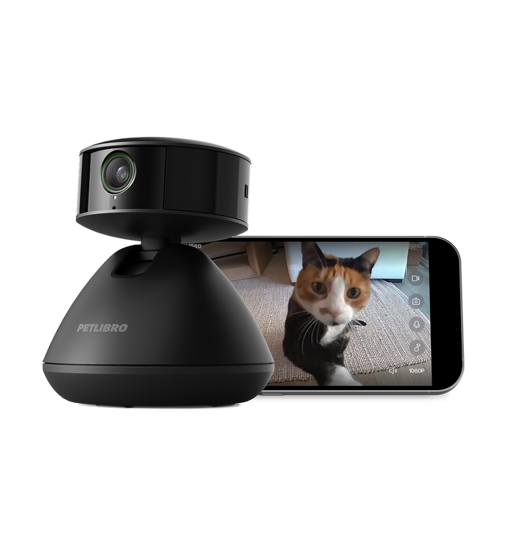 Always Know What Your Pet Is Doing: Why the Smart Pet Camera Is Worth It