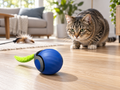Interactive Cat Toys: Rolling Ball vs Feather Wand Guide