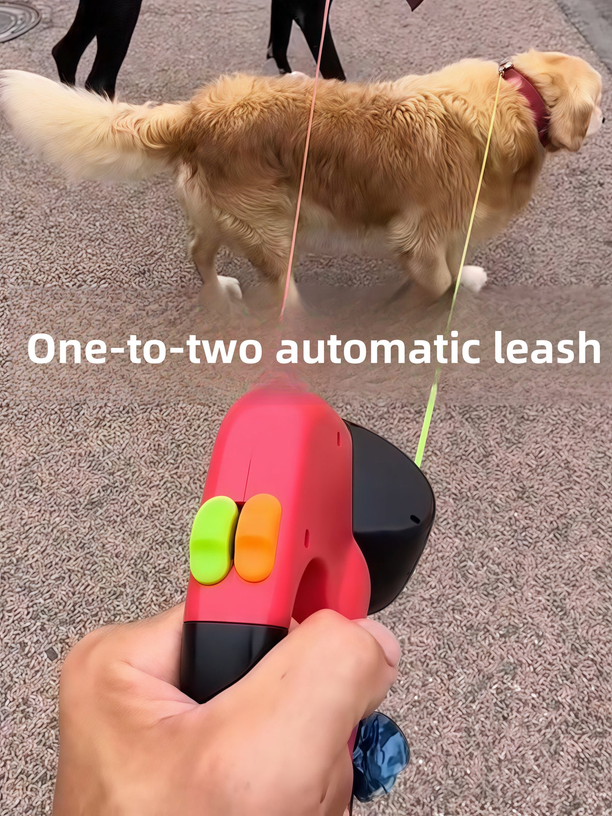 Retractable Dog Leash