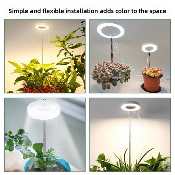 Retractable Plant Lamp Decor product image 3