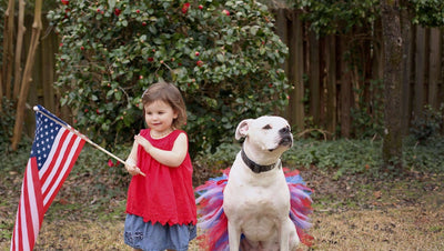 Red White & Blue 4th of July Dog Tutu Skirt