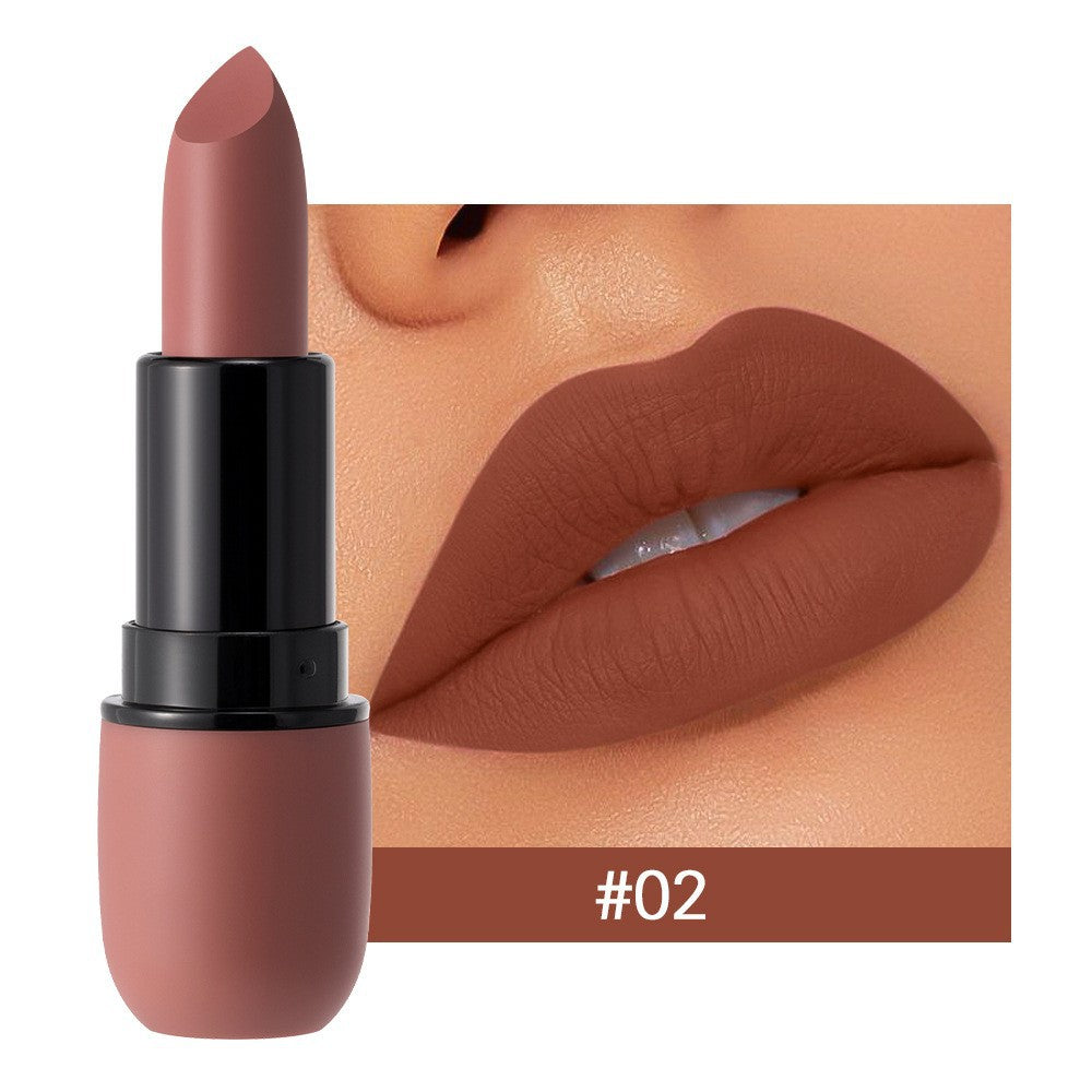 Long Lasting Waterproof Matte Lipstick Set