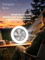 Rechargeable wire-free sunshade lamp