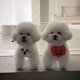 Cute Halloween Dog Apron