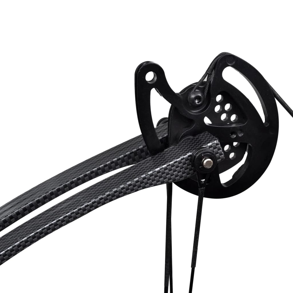 Compound bow cam and pulley system close-up